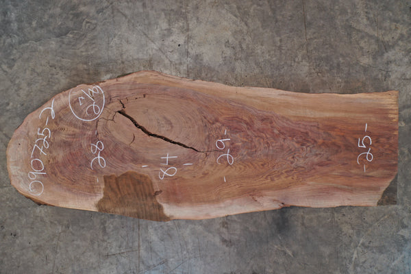 Oregon Black Walnut Slab 090725-02 Sauvie