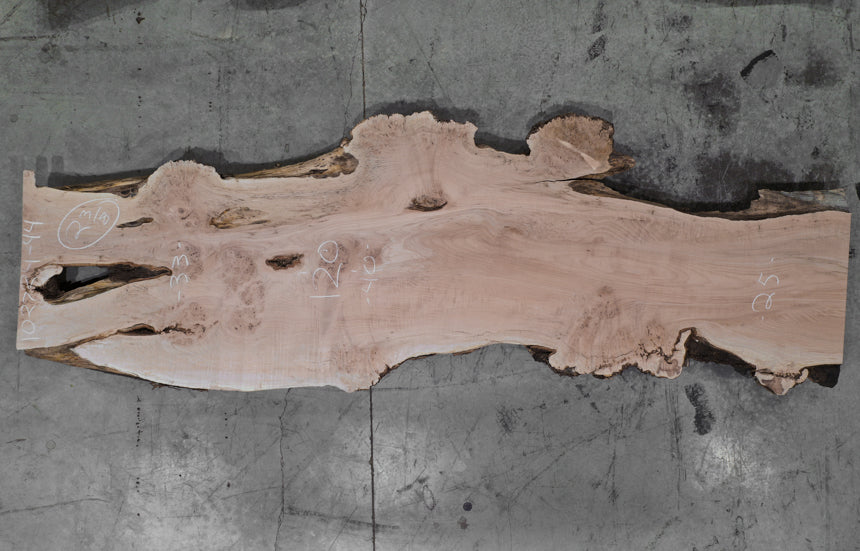 Big Leaf Maple Slab 102724-44 MA