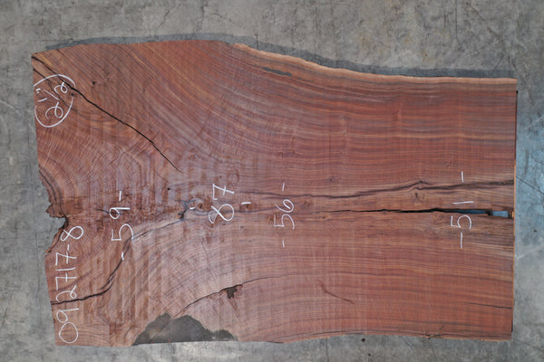 Oregon Black Walnut Slab 092717-08