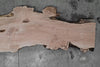 Big Leaf Maple Slab 102724-44 MA