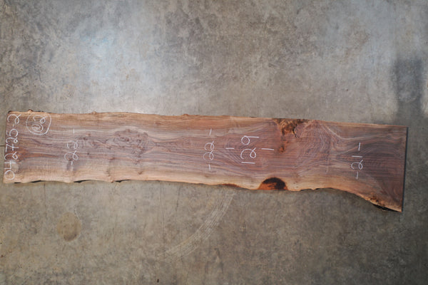 Oregon Black Walnut Slab 042725-02