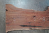 Oregon Black Walnut Slab 080519-06