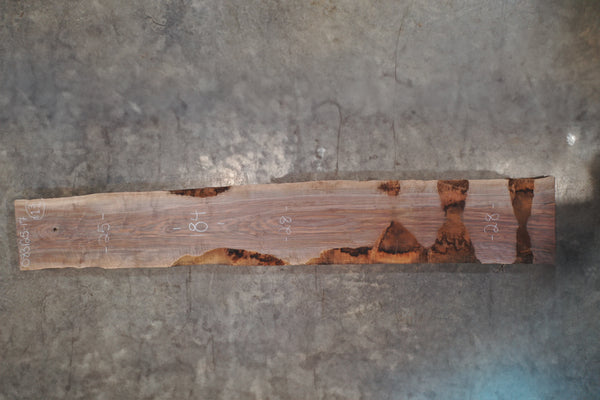 Oregon Black Walnut Slab 083125-17