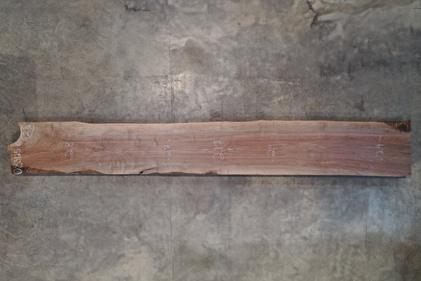 Oregon Black Walnut Slab 083125-16