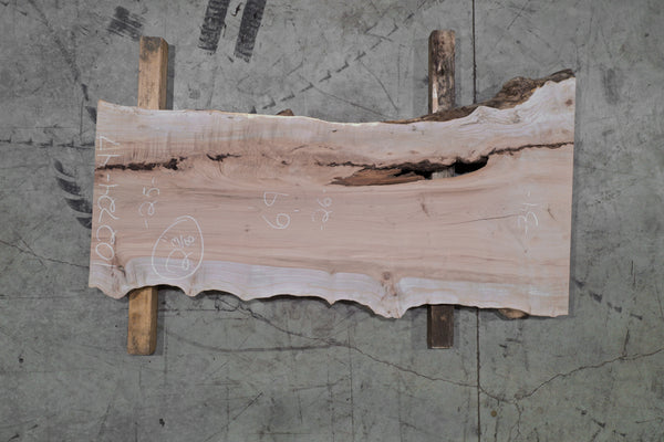 Big Leaf Maple Slab 102724-47