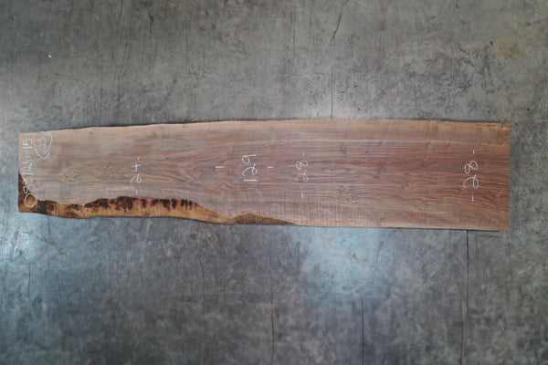 Oregon Black Walnut Slab 083125-15