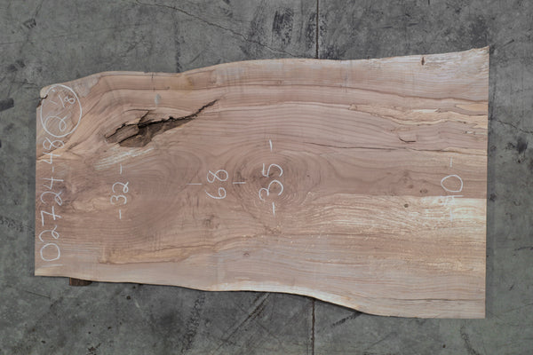 Elm Slab 102724-48