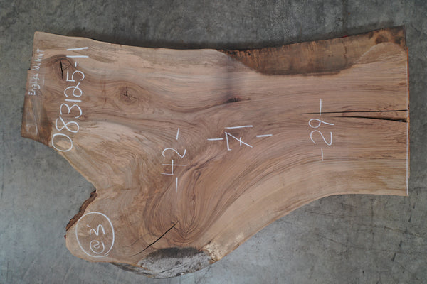 English Walnut Slab 083125-11