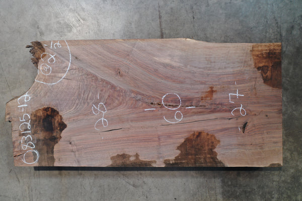 Oregon Black Walnut Slab 083125-12