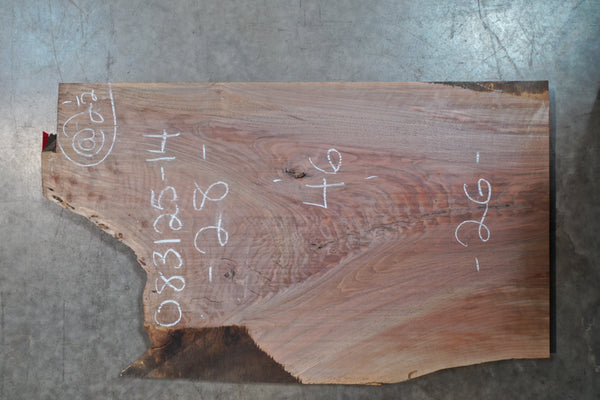 Oregon Black Walnut Slab 083125-14