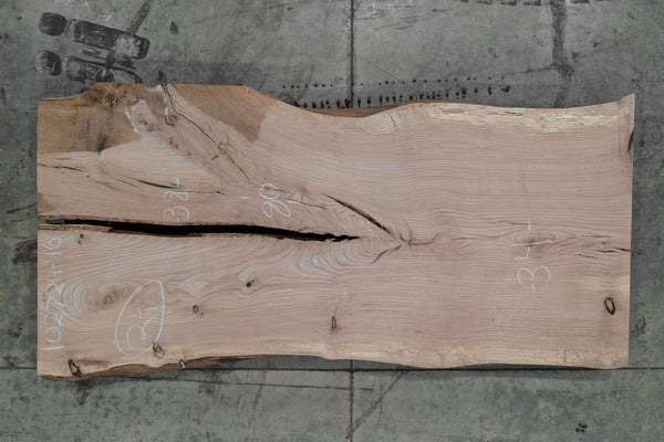 Elm Slab 102724-46