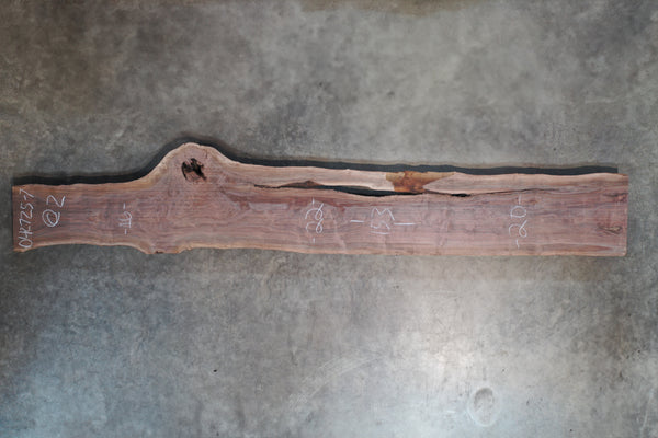 Oregon Black Walnut Slab 042725-07