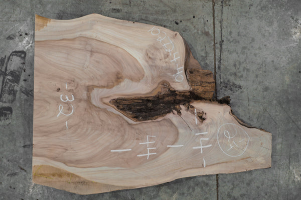 Elm Slab 102724-40