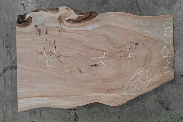 Elm Slab 102724-41