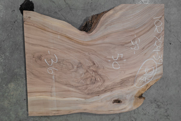 Elm Slab 102724-39