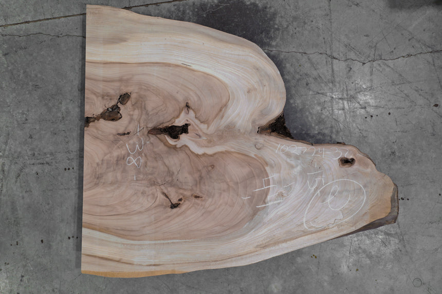 Elm Slab 102724-37