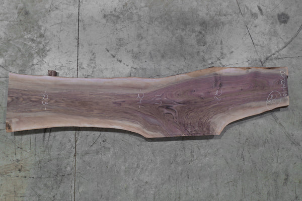 Oregon Black Walnut 102724-16
