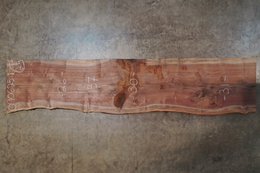 Oregon Black Walnut Slab 090625-01