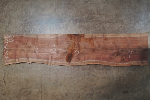 Oregon Black Walnut Slab 090625-01