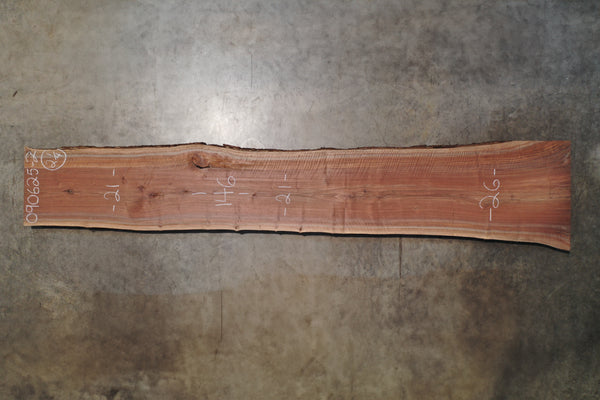 Oregon Black Walnut Slab 090625-02