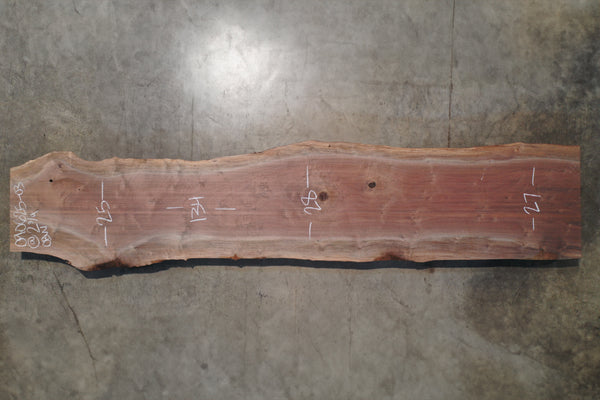 Oregon Black Walnut Slab 090625-03
