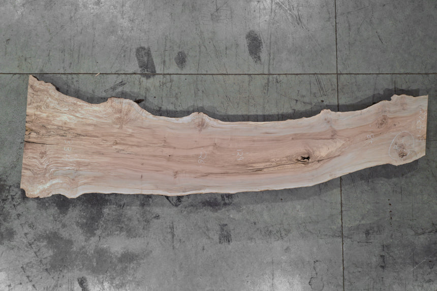 Big Leaf Maple Slab 102724-19