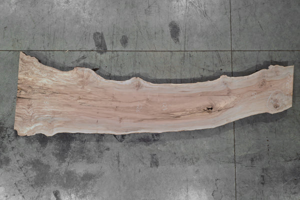 Big Leaf Maple Slab 102724-19