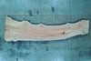 102724-19 Big Leaf Maple Slab