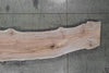 Big Leaf Maple Slab 102724-19