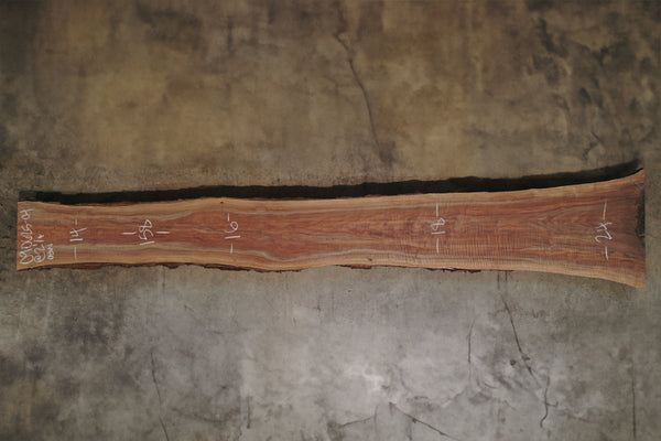 Oregon Black Walnut Slab 090625-04