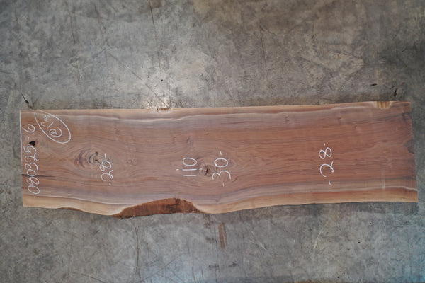 Oregon Black Walnut Slab 080325-06