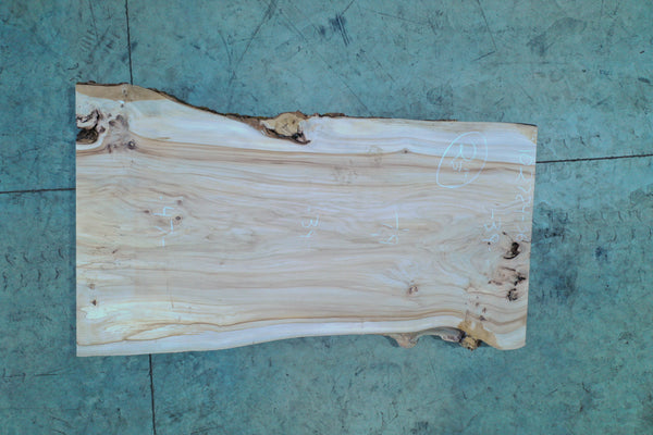 102724-36 Elm Slab