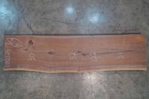 Oregon Black Walnut Slab 080325-07