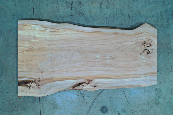 102724-35 Elm Slab