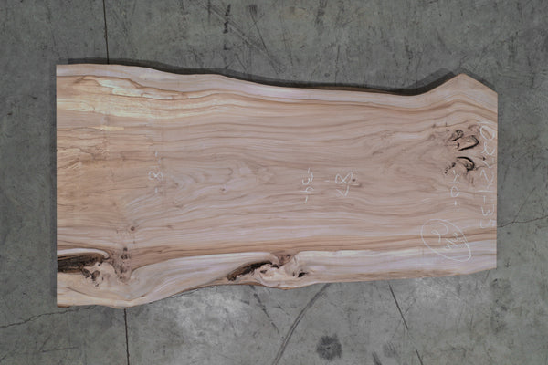 Elm Slab 102724-35