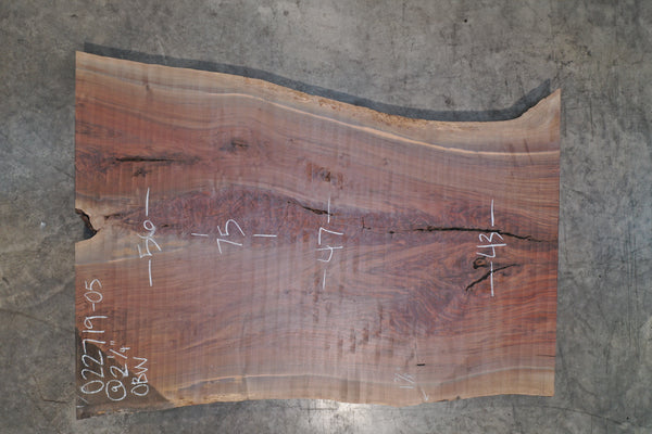 Oregon Black Walnut Slab 022719-05