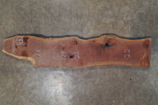 Oregon Black Walnut Slab 091523-15