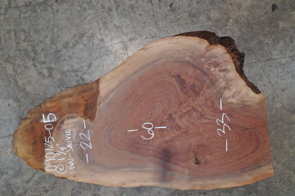 Oregon Black Walnut Slab 090725-05 Sauvie
