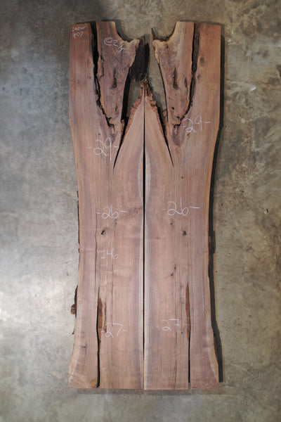 Oregon Black Walnut Bookmatch BMBW-1407