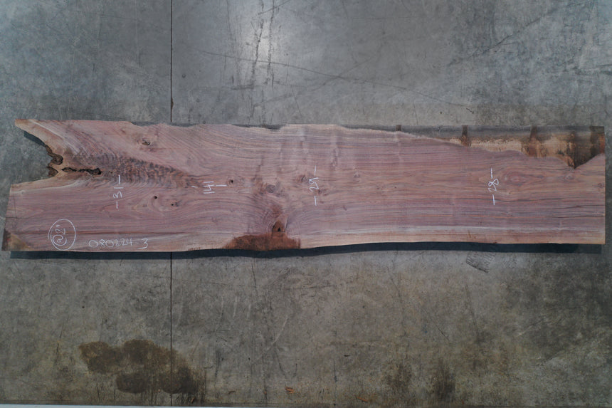 Oregon Black Walnut Slab 080224-03