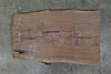 Oregon Black Walnut Small Slab 012625-26
