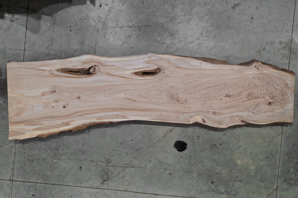 Elm Slab 102724-31