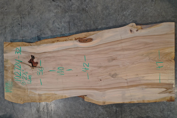 Elm Slab 102724-32