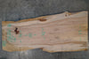 Elm Slab 102724-32