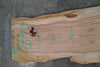 Elm Slab 102724-32