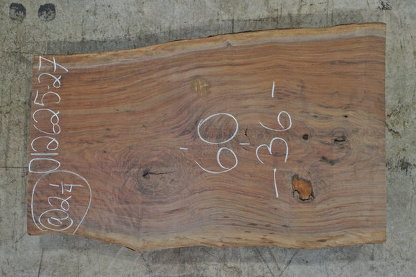 Oregon Black Walnut Slab 012625-27