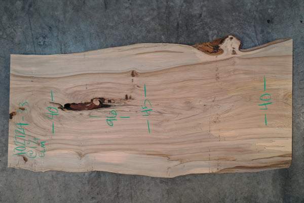 Elm Slab 102724-33