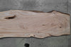 Elm Slab 102724-31