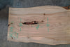 Elm Slab 102724-33