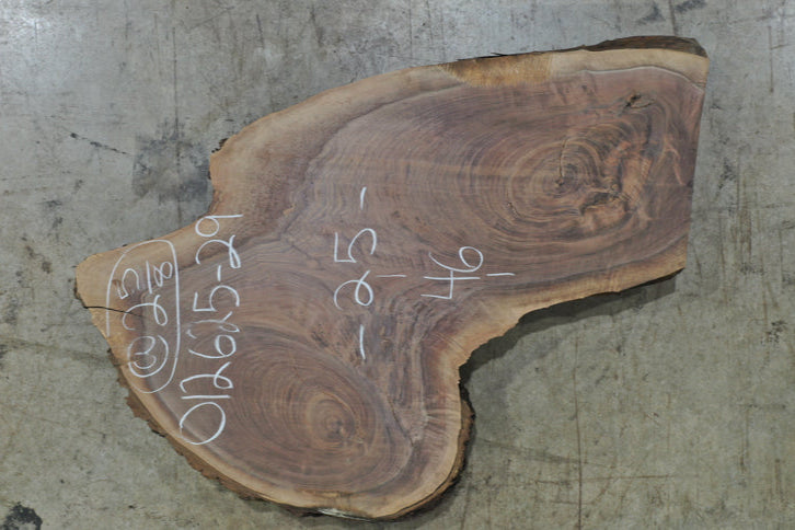 Oregon Black Walnut Slab 012625-29
